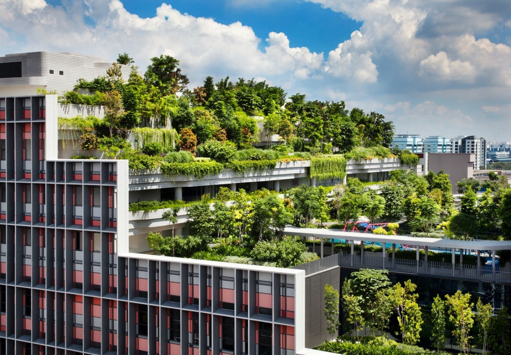 What is Regenerative Architecture