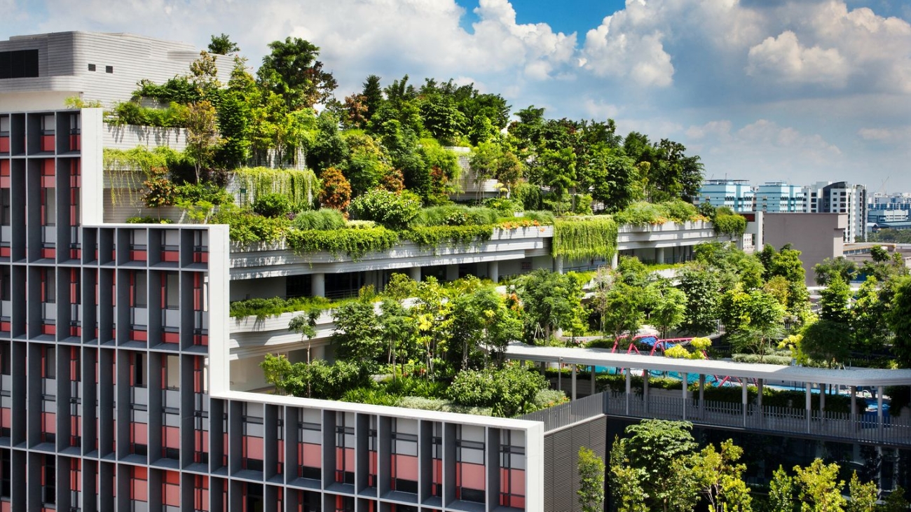 What is Regenerative Architecture