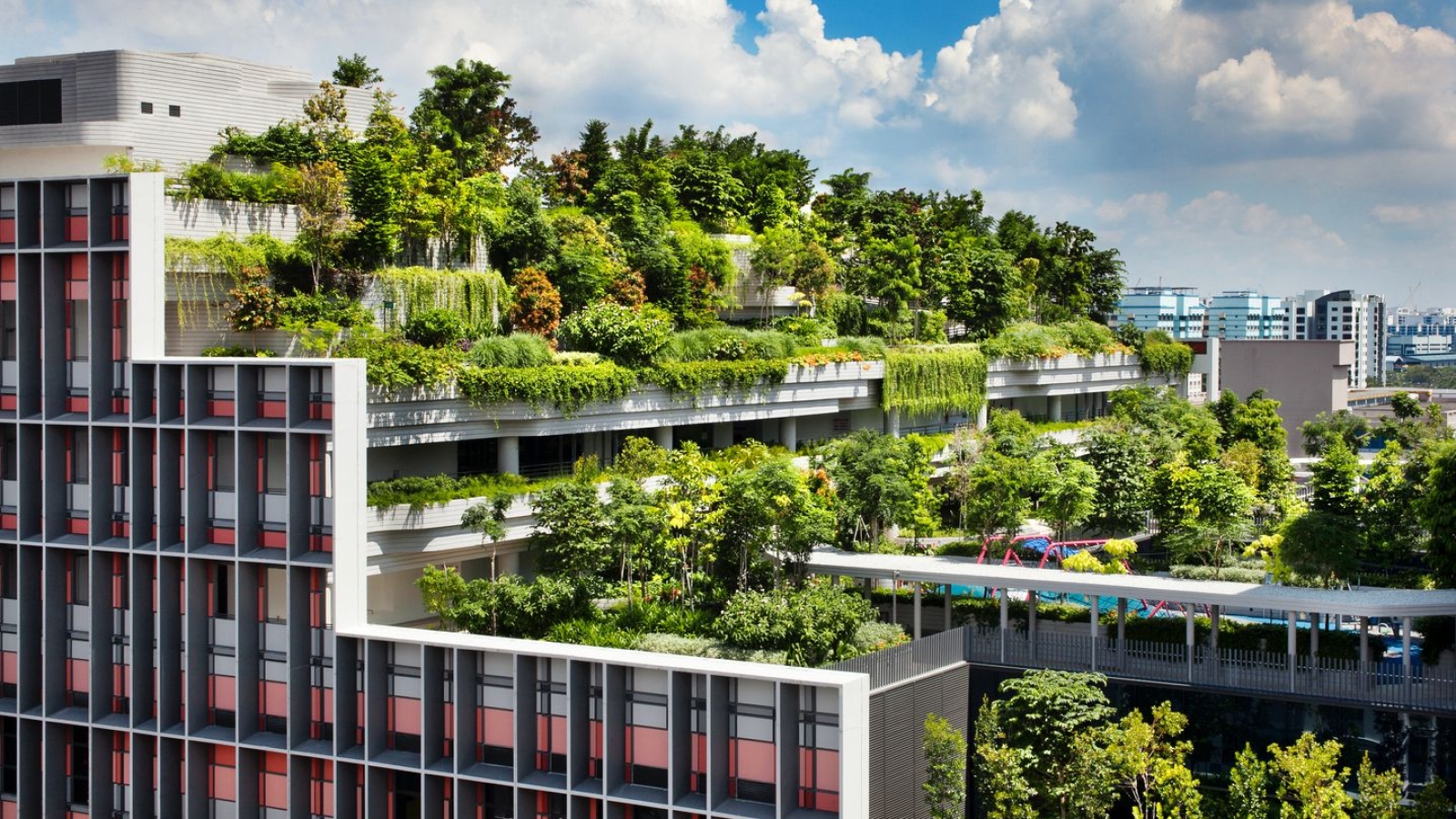 What is Regenerative Architecture